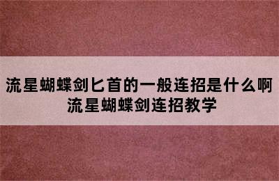 流星蝴蝶剑匕首的一般连招是什么啊 流星蝴蝶剑连招教学